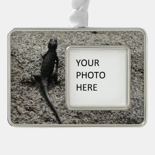 Black Lizard Verzilverd Kader Ornament (Voorkant)