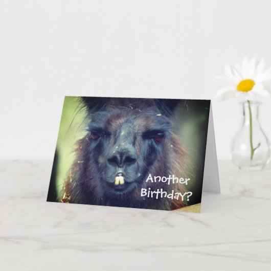 Black Llama Animal Funny Birthday Kaart (Kleine Plant)