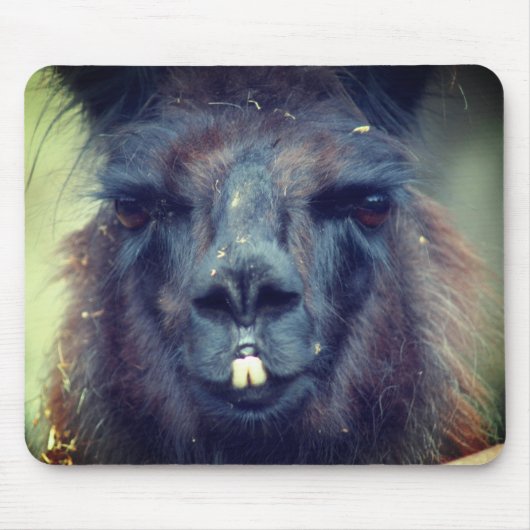 Black Llama Face Animal Muismat (Voorkant)