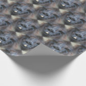 Black Llama Face Natuur Pattern Cadeaupapier (Hoek)