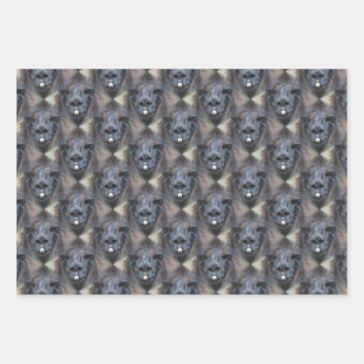 Black Llama Face Natuur Pattern Inpakpapier Vel (Voorkant)
