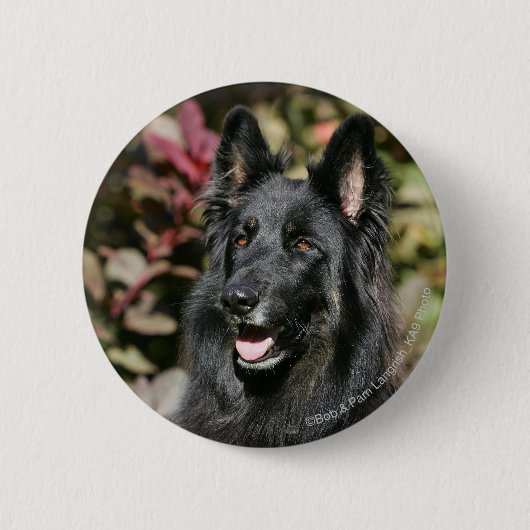 Black Long Hazard German Shepherd Ronde Button 5,7 Cm (Voorkant)