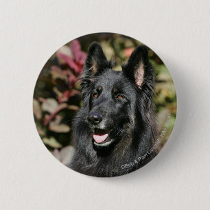 Black Long Hazard German Shepherd Ronde Button 5,7 Cm