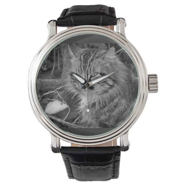 Black Maine Coon Cat Band Watch Horloge (Voorkant)