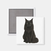 Black Maine Coon Magnet (Recto/Verso)