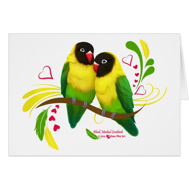 Black Masked Lovebirds (Devant horizontal)