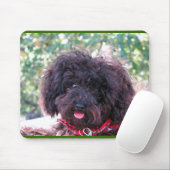 Black Miniature Poodle - JoJo Muismat (Met muis)