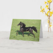 Black Morgan Stallion Mane and Tail Flowing Kaart (Gele Bloem)