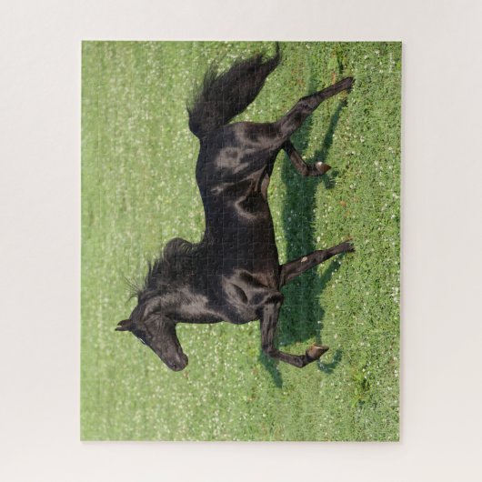Black Morgan Stallion Mane en Tail stromend Legpuzzel (Verticaal)