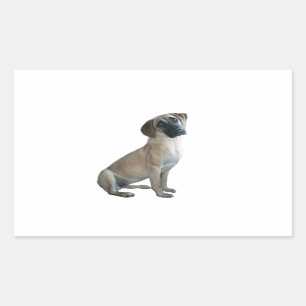 Black Mouth Cur #1 Rechthoekige Sticker