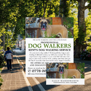 Black Mouth Cur, Dog Walker Service Adverteren Flyer