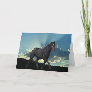 Black Mustang Stallion Folded Wenskaart Kaart
