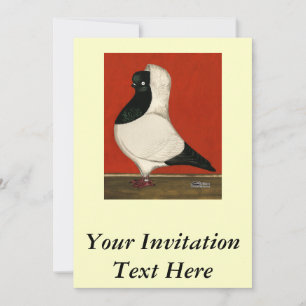 Black Nun Pigeon Kaart