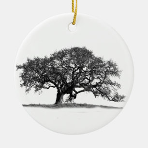 BLACK OAK TREE KERAMISCH ORNAMENT