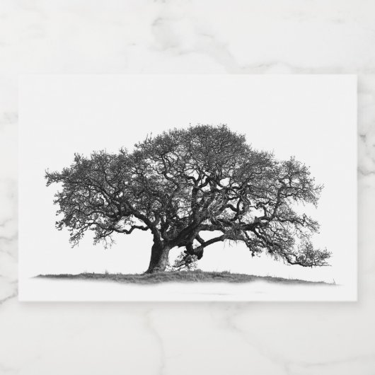 BLACK OAK TREE SPARKLING WIJNETIKET (Enkel label)