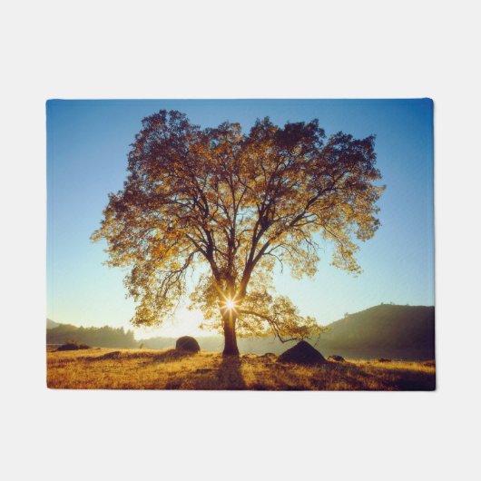 Black Oak Trees | Cleveland National Forest, CA Deurmat (Voorkant)