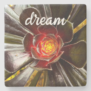 Black Oranje Cactus Succulent Photo Dream Script Stenen Onderzetter