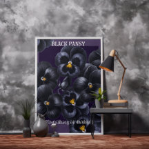 Black Pansy Dark Flowers Affirmatie