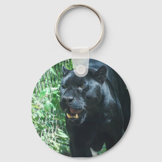 Black Panther Cat Sleutelhanger (Voorkant)