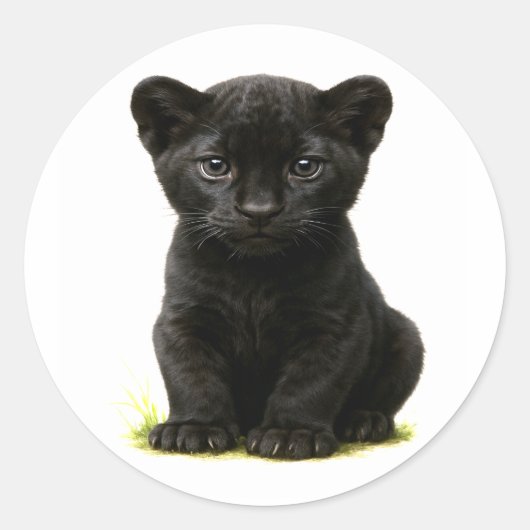 Black Panther Cub met grote ogen Ronde Sticker (Voorkant)