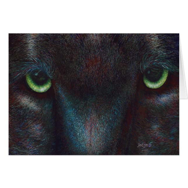 Black Panther "Hyptnotist" (Voorkant Horizontaal)