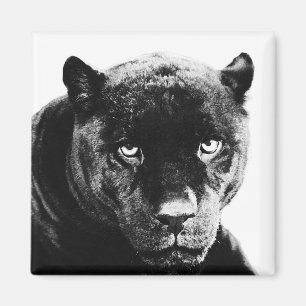 Black Panther Jaguar Magneet