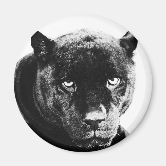 Black Panther Jaguar Magneet (Voorkant)