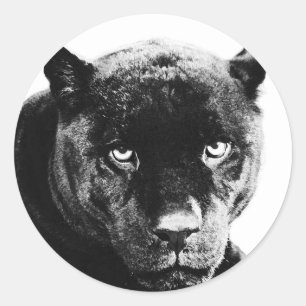 Black Panther Jaguar Ronde Sticker