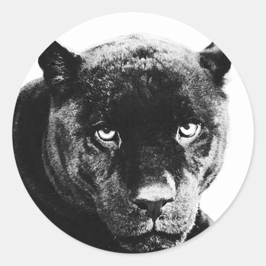 Black Panther Jaguar Ronde Sticker (Voorkant)
