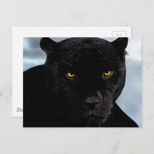 Black Panther Panthera Briefkaart (Voorkant / Achterkant)