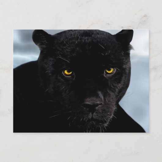 Black Panther Panthera Briefkaart (Voorkant)