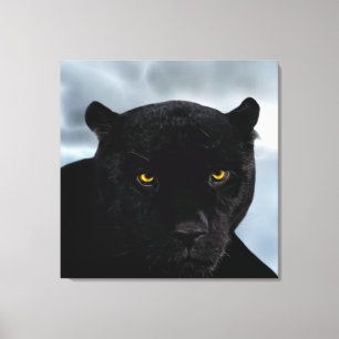 Black Panther Panthera Canvas Afdruk
