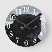 Black Panther Panthera