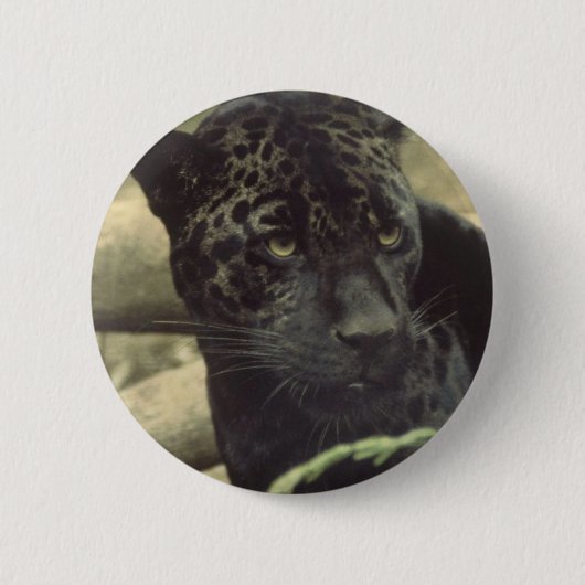 Black Panther Round Button (Voorkant)
