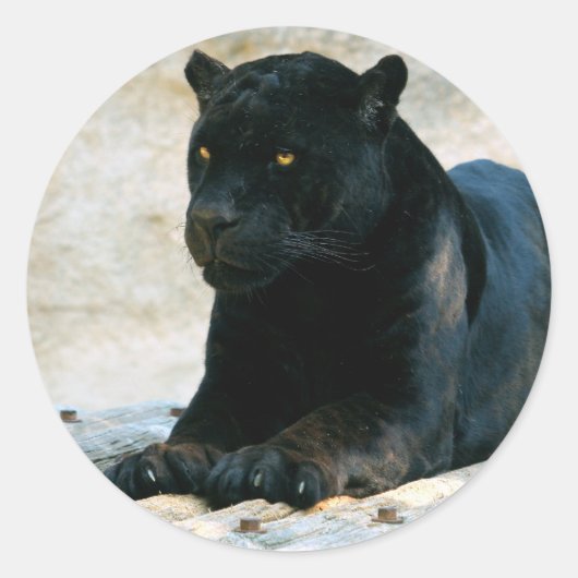 Black panther sticker (Voorkant)
