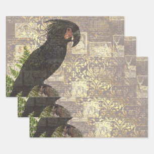 Black Parrot met Damask en Newsprint Inpakpapier Vel