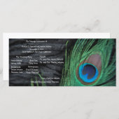 Black Peacock Velvet Achtergrond Trouwprogramma Programma (Voorkant / Achterkant)