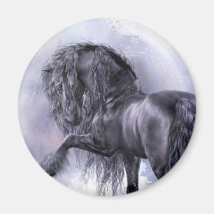 Black Pearl Magnet Magneet