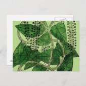 Black Pepper Plant, 1578 Briefkaart (Voorkant / Achterkant)