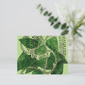 Black Pepper Plant, 1578 Briefkaart (Staand voorkant)