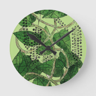 Black Pepper Plant, 1578 Ronde Klok