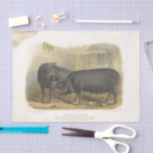 Black Pigs Ephemera Decoupage  Boerderij Tissuepapier (Craft)