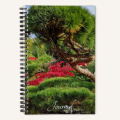 Black Pine Tree en Red Japans Maple Photo Notitieboek (Voorkant)