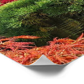 Black Pine Tree en Red Japans Maple Photo Poster (Hoek)