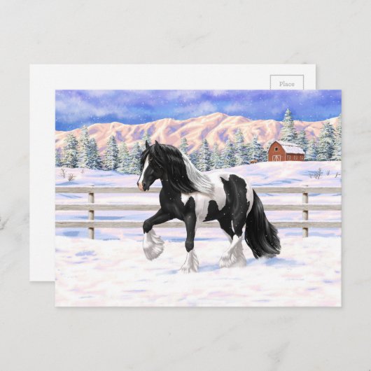 Black Pinto Piebald Gypsy Vanner Draft Horse Briefkaart (Voorkant / Achterkant)