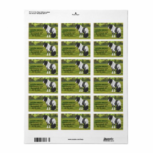 Black Pinto Piebald Gypsy Vanner Draft Horse Etiket (Full Sheet)