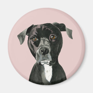 Black Pit Bull Dog Portret Magneet