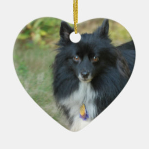 Black Pomeranian Dog Ornament