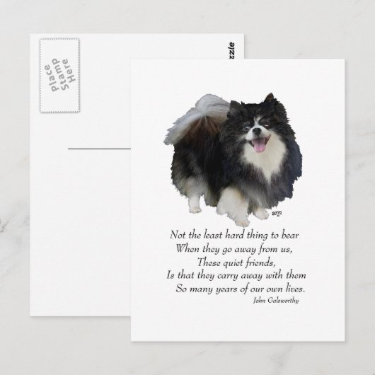Black Pomeranian Keepomwille Briefkaart (Voorkant / Achterkant)