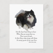 Black Pomeranian Keepomwille Briefkaart (Voorkant)
